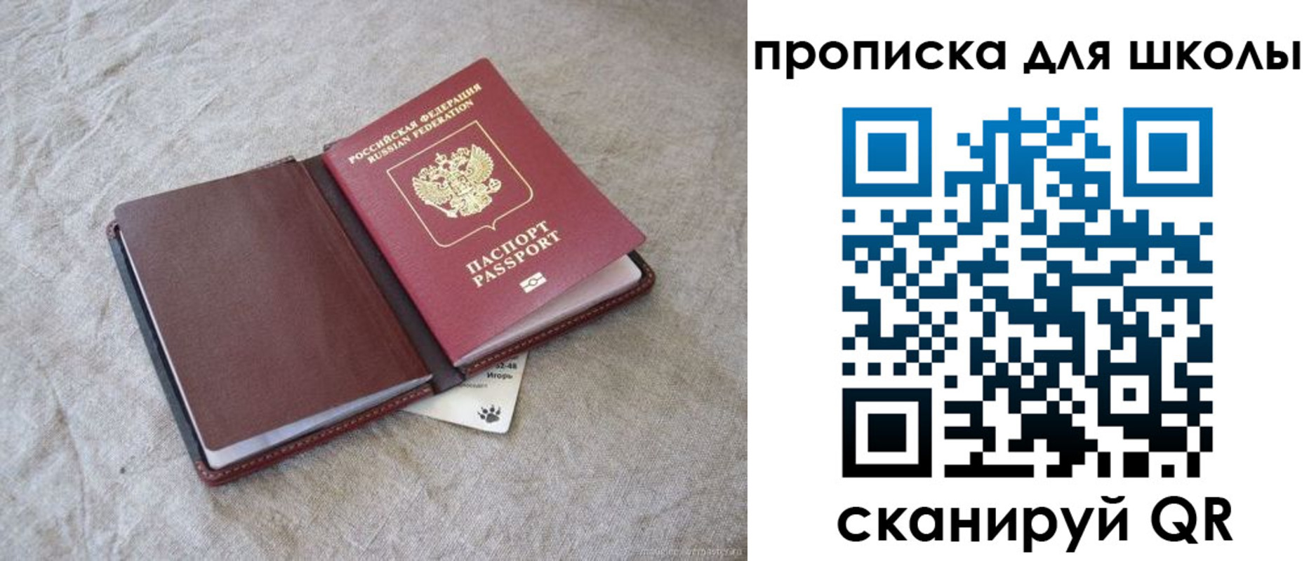 прописка штамп в Гусеве